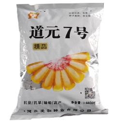 道元7号