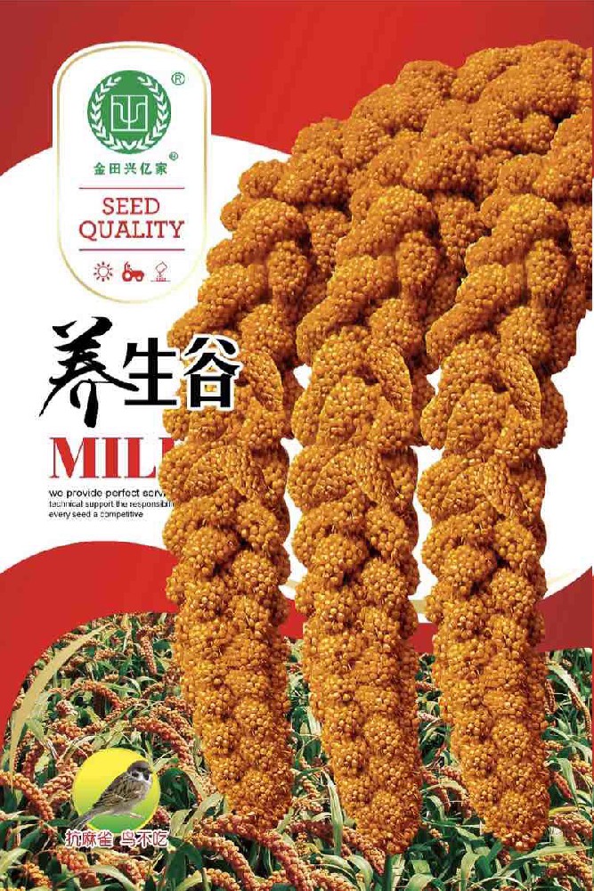养生谷