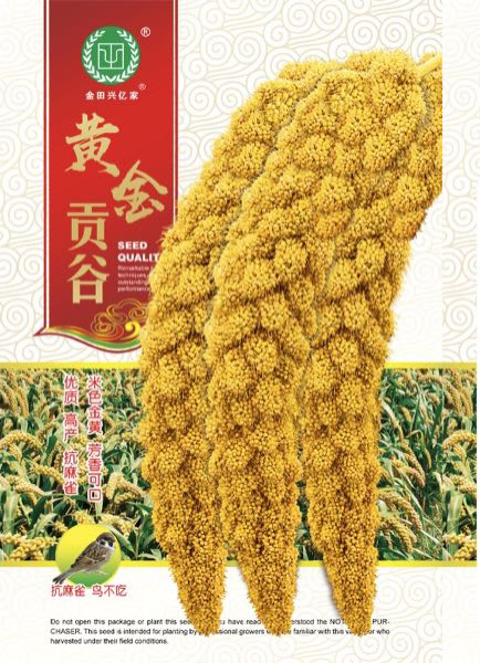 黄金汞谷