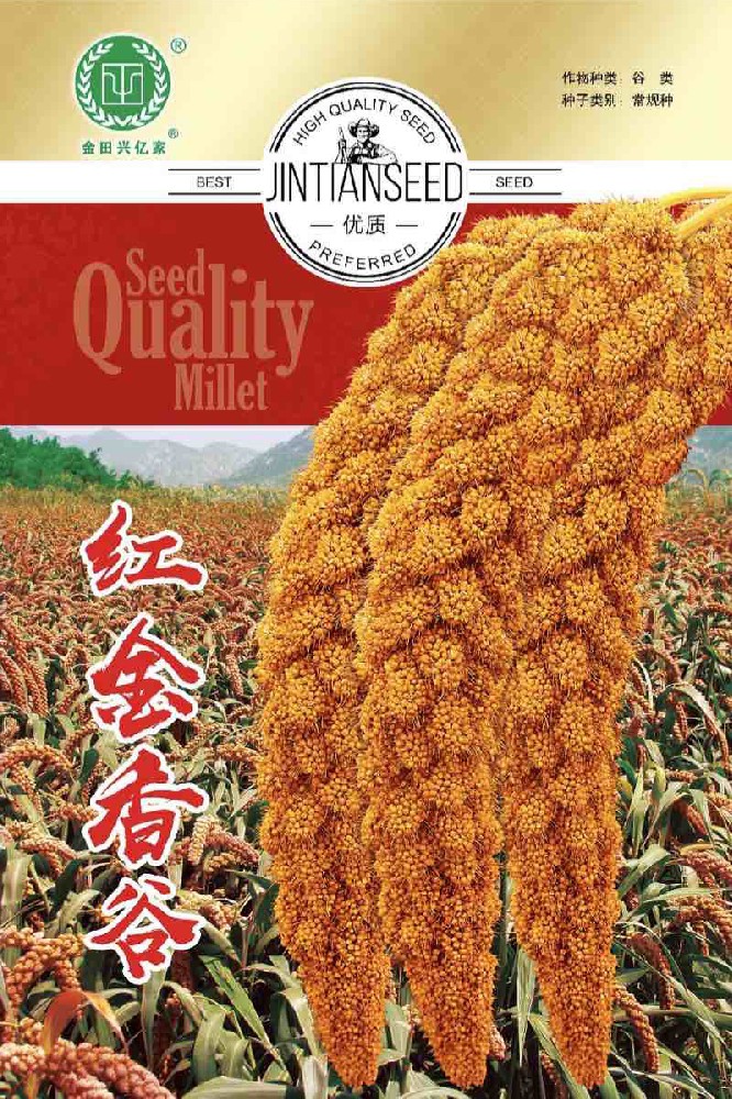 红金香谷