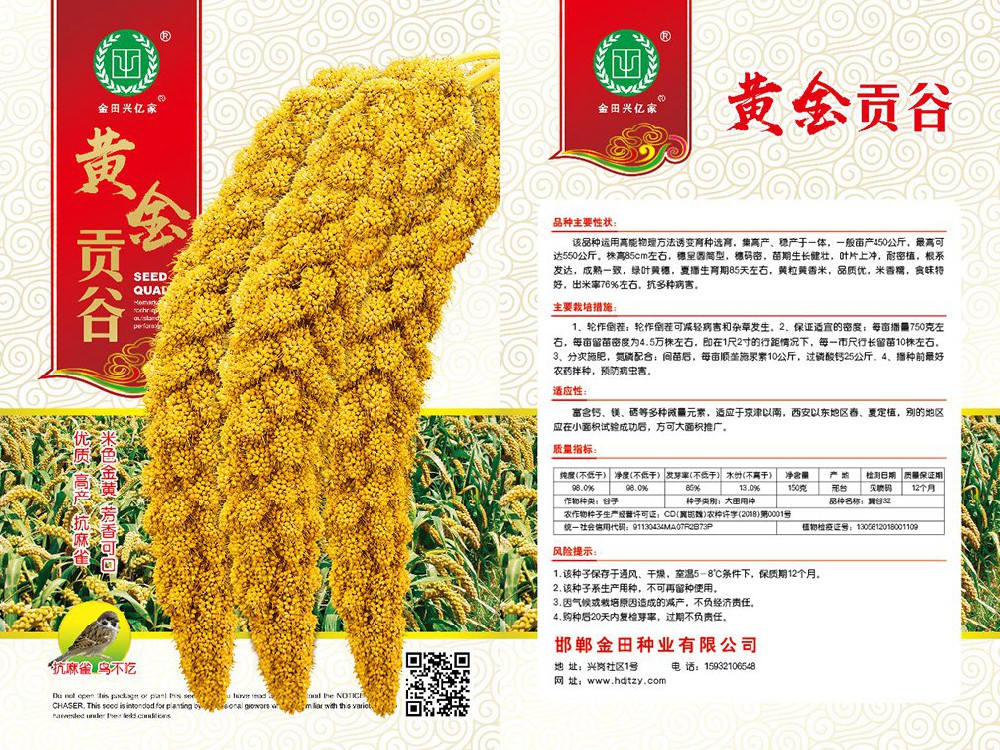 黄金贡谷