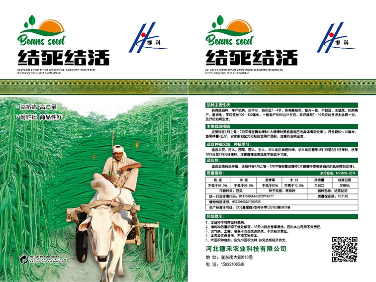 结死结活
